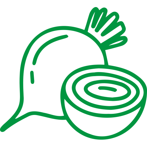 beet-decoration beet outlined in green